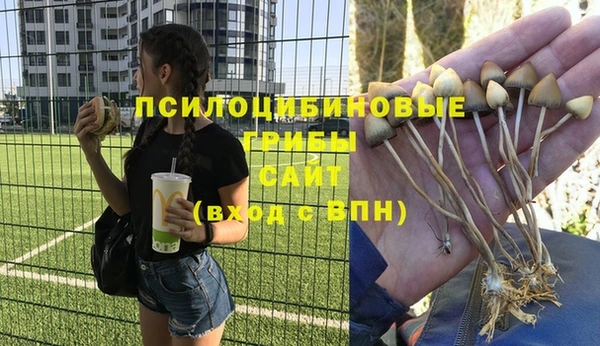 ECSTASY Беломорск