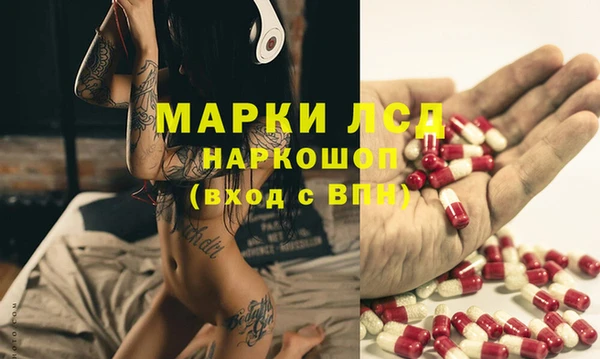 мяу мяу мука Белокуриха